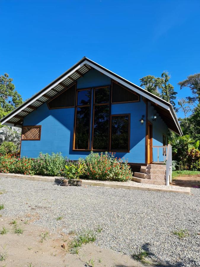 Casa Numu Villa Кахуита Екстериор снимка
